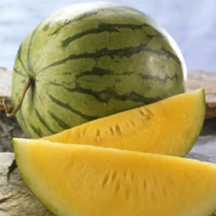 Body Balm Ingredients – Guide to Natural Beautiful Skin